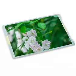 Pannello LCD di 800*600 AUO dell'esposizione di pannello di tocco di G104SN03 V.2 10,4»