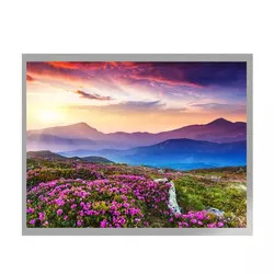 Modulo a 10,4 pollici di TFT LCD dell'interfaccia dell'esposizione G104X1-L04 LVDS di MVA TFT LCD