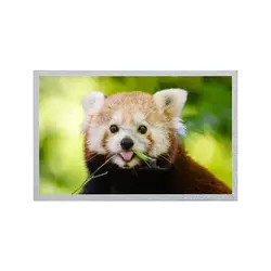 Modulo di AUO del pannello 800*600 G121S1-L02 dell'esposizione LCD a 12,1 pollici di giro C4/giro C6 TFT LCD