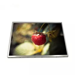 Modulo a 12,1 pollici di TFT LCD dei pidocchi 800x600 500 del pannello LCD di G121SN01 V403 AUO